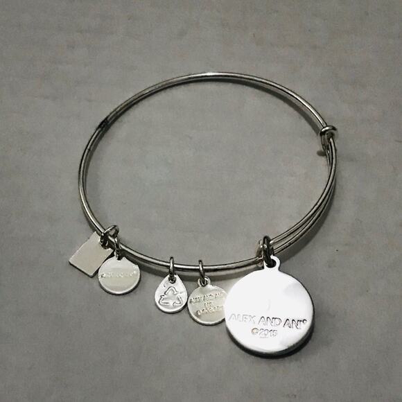 Alex and Ani Team USA Bracelet - Picture 2 of 7